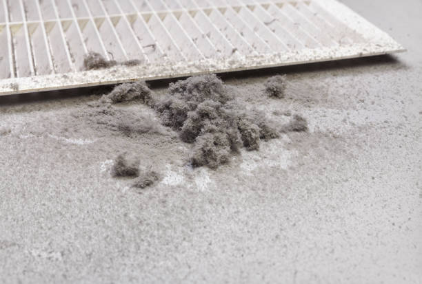 Best Commercial HVAC Duct Cleaning  in Hitchcock, TX