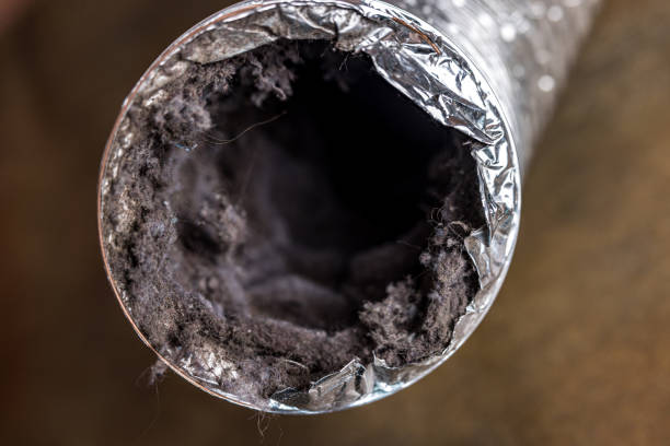 Best Affordable HVAC Duct Cleaning  in Hitchcock, TX