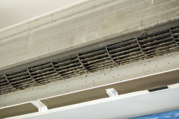 Best Best Air Duct Cleaning Company  in Hitchcock, TX